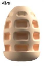 19020-2