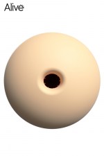 19020-3