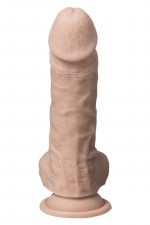 21595-2