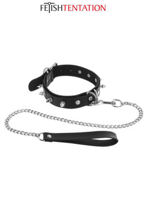 Collier à pointes et laisse