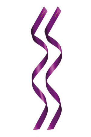 2 liens BDSM satin pourpre