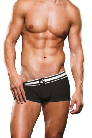 Boxer noir et blanc