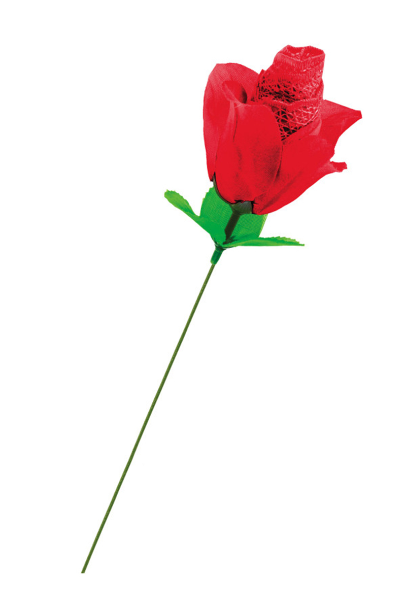 Rose surprise avec petite culotte – Image 3