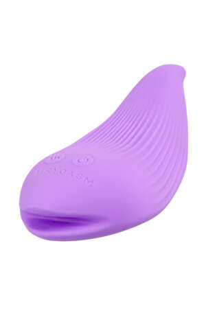 Mini Vibromasseurmasseur rechargeable DelightfulWave violet
