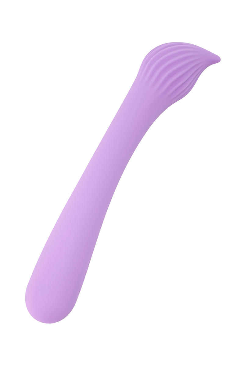 Vibromasseur rechargeable Passionmania violet – Image 5