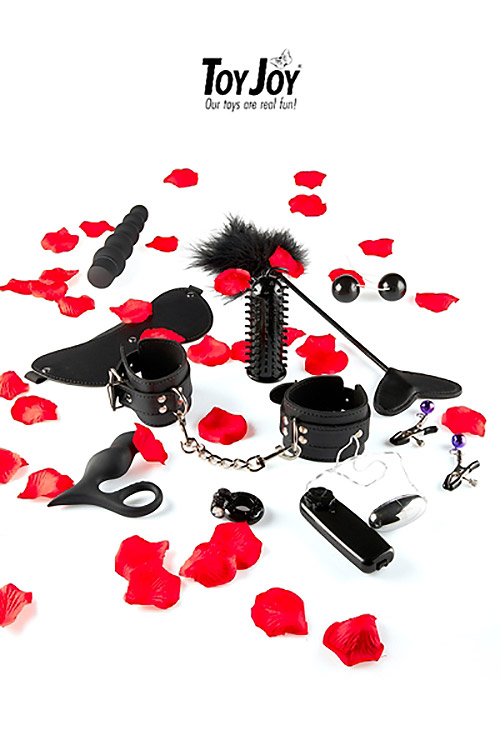 Lovetoy starter kit – Image 5